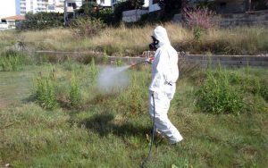 Medio Ambiente refuerza los trabajos de control de mosquitos